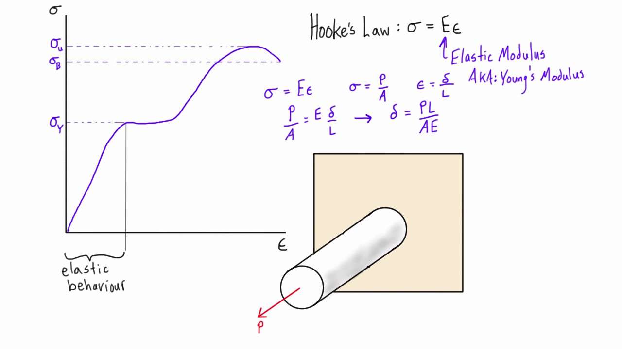 Elasticity and Hooke’s Law