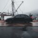 a black subaru wrx parked in the port